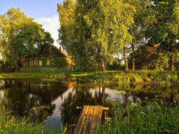 Река Вышний Пенская деревушка