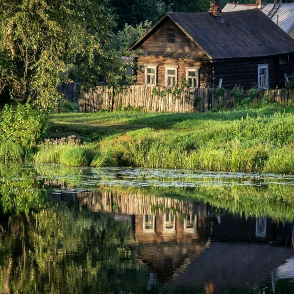 Деревня Мегра Вологодская пейзаж