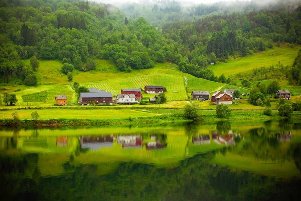 Красивая дорога в деревне