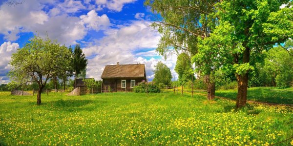 Природа в деревне весной