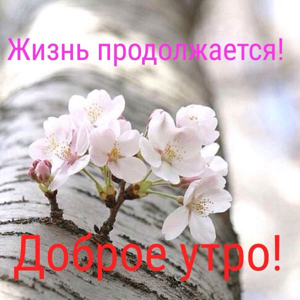 Позитивная Весна