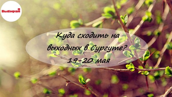 Природа и животные