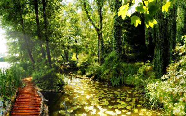 Фотообои на стену природа с водоемом