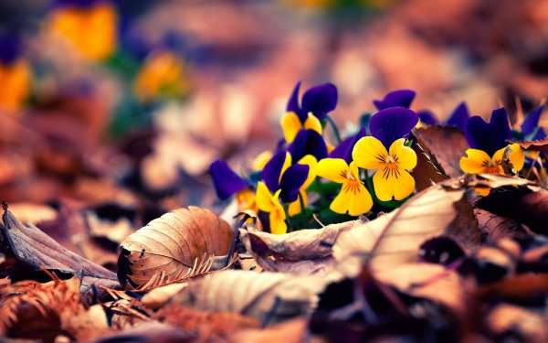Весна природа стильно