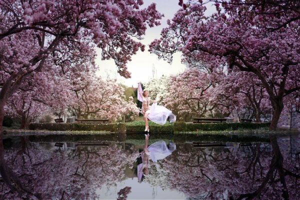 Фотообои для телефона самсунг