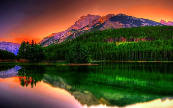 Розовая природа