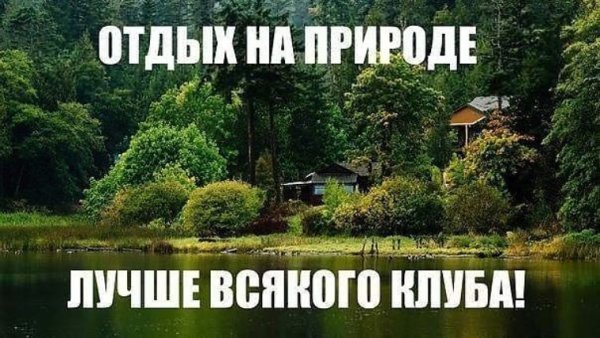 Приколы природы в картинках с надписями