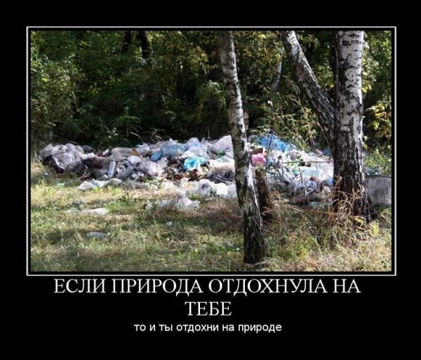 Приколы про отдых на природе