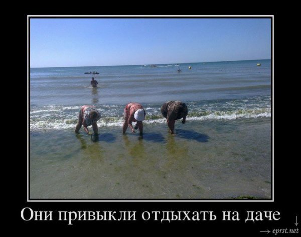 Приколы про море и отпуск