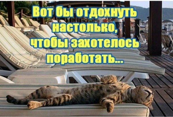 Смешные картинки про отпуск