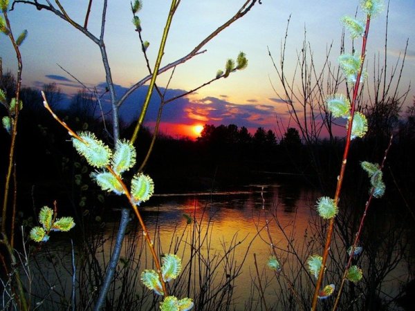 Вечер в апреле природа