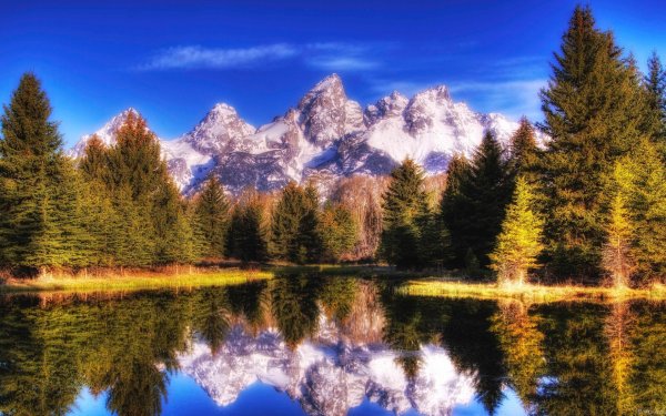 Красивая природа