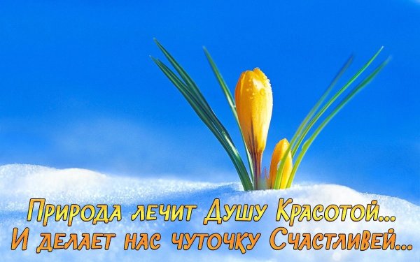 Поздравление с 8 марта