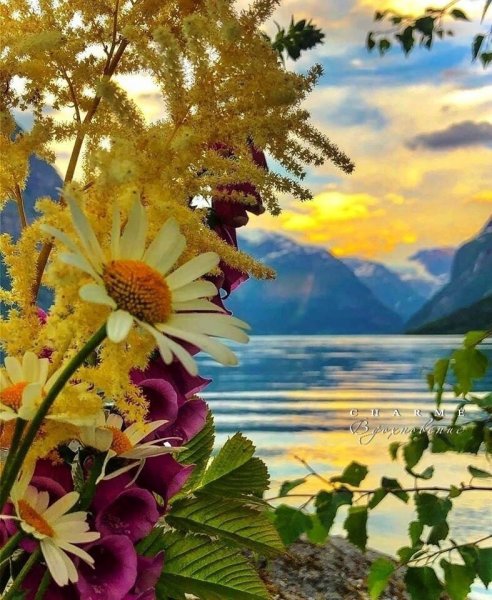 Душевная красота