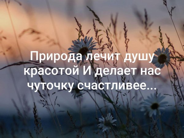 Природа лечит душу красотой...и делает нас чуточку счастливее...
