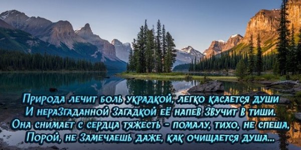 Природа лечит душу