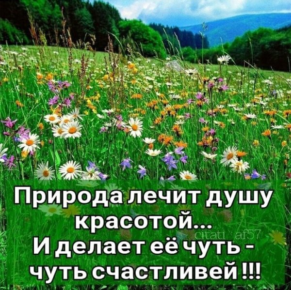 Красивые цитаты про природу