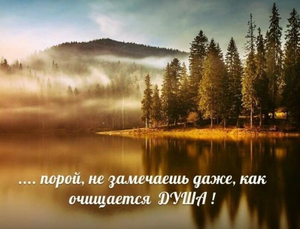 Природа лечит цитаты