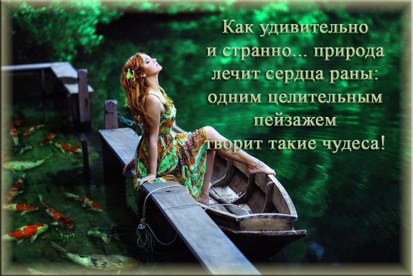Природа лечит душу красотой