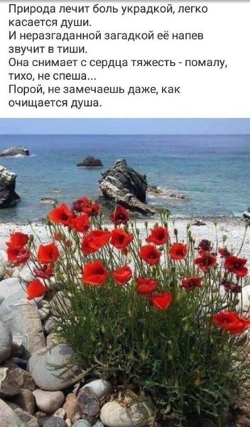 Природа лечит душу
