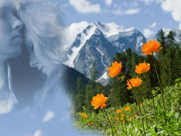 Цитаты про природу