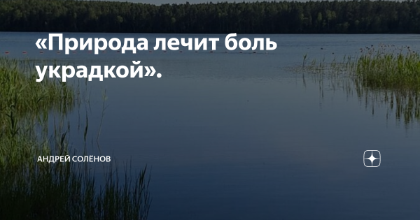 Любоваться природой