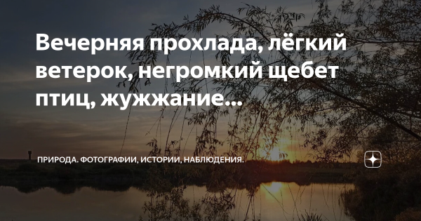 Нет лучшего психолога чем природа