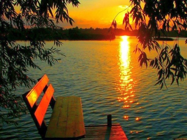 Цитаты про природу