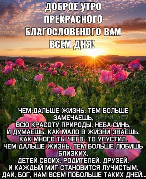 Любовь к человечеству