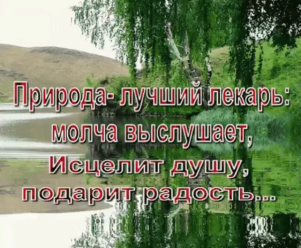 Камыши тропинка