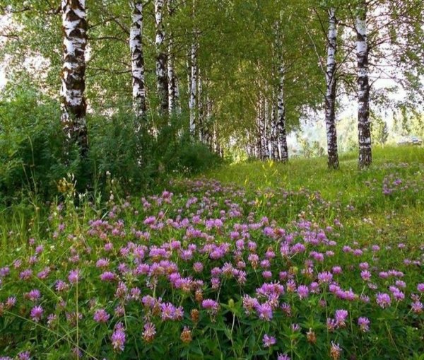 Счастье картинки