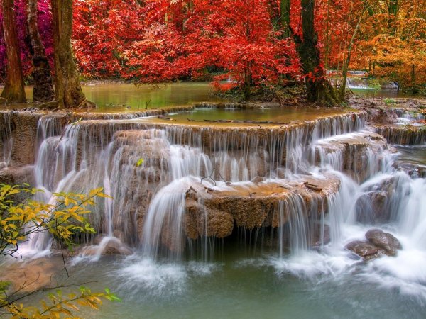 Фотообои водопад, деревья