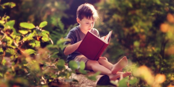 Мальчик с книжкой