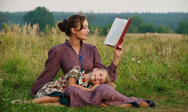 Книга на коленях