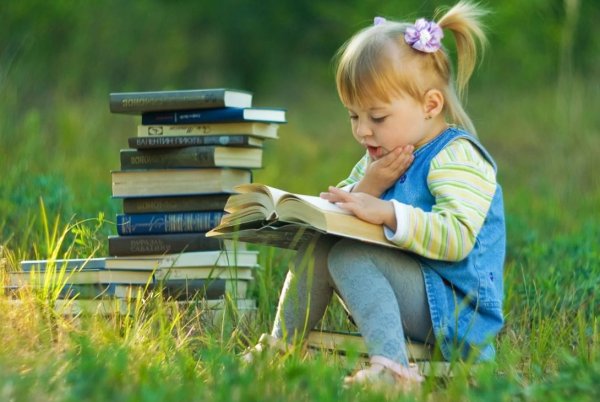 Книга летом