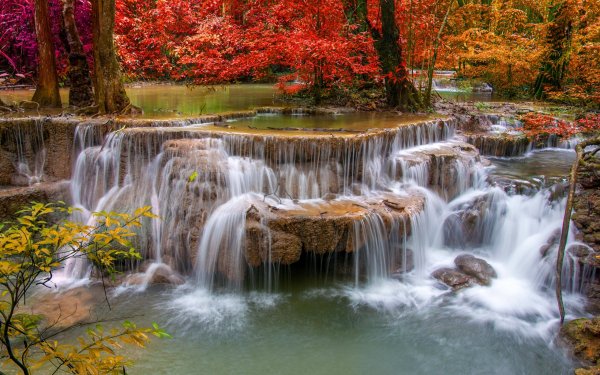 Фотообои водопад, деревья