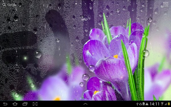 Природа вертикальные