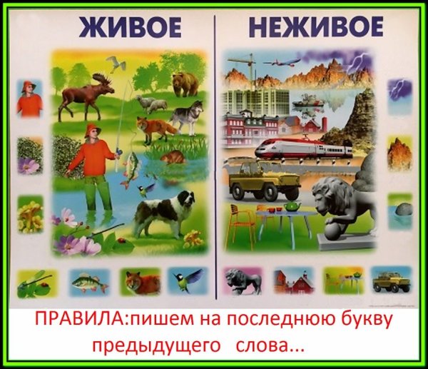 Живая неживая природа для детей
