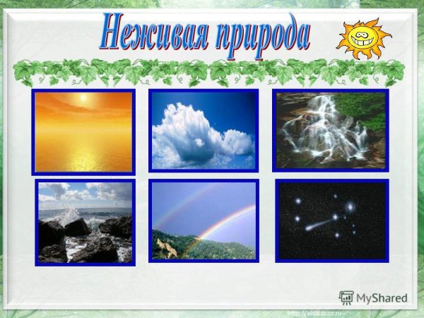 Живая природа и неживая природа