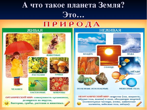 Карточки Живая и неживая природа для дошкольников