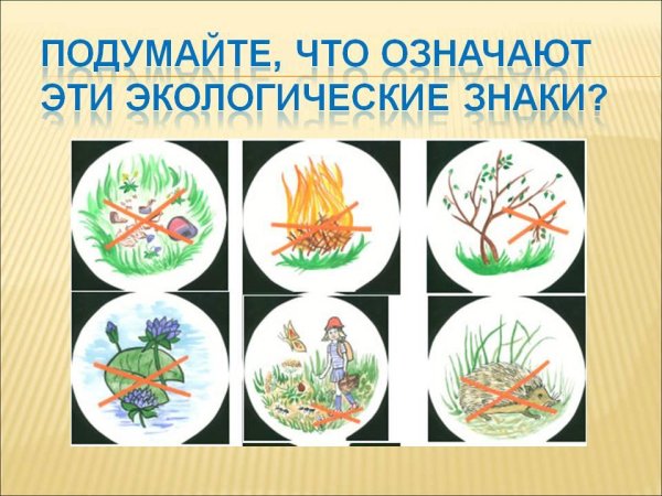 Экологические знаки что они означают