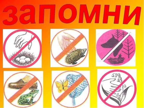 Знаки по экологии для дошкольников