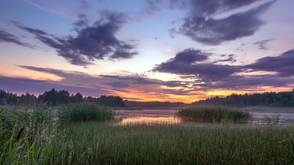 Беларусь фотографии природы