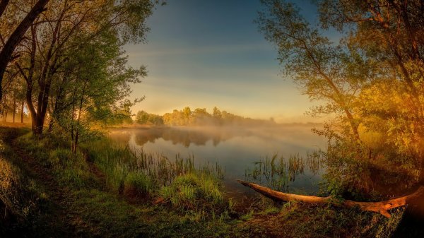 Белоруссия природа