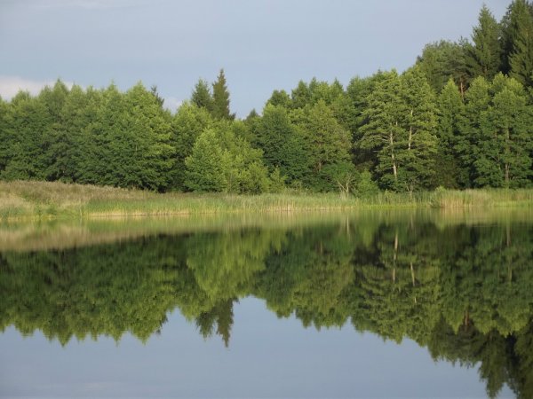 Беларусь Синеокая