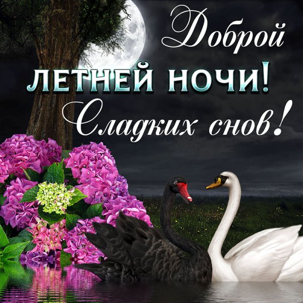 Доброй летней ночи
