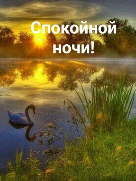 Спокойной ночи друзья