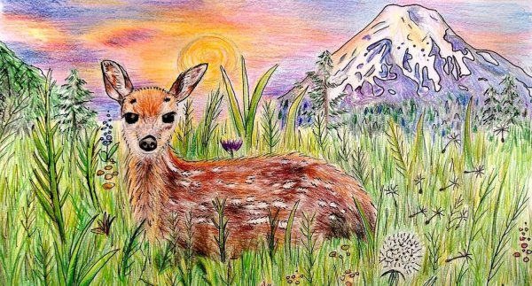 Рисунки природы и животных