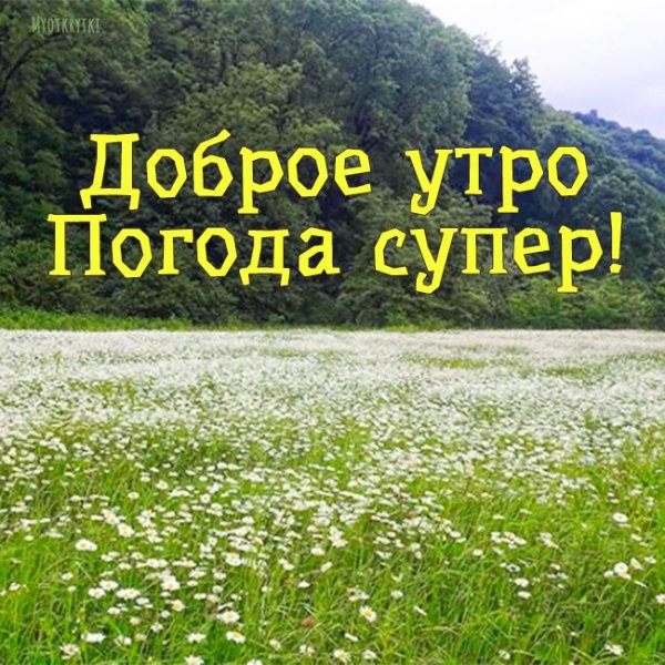 Пожелания с добрым утром с природой