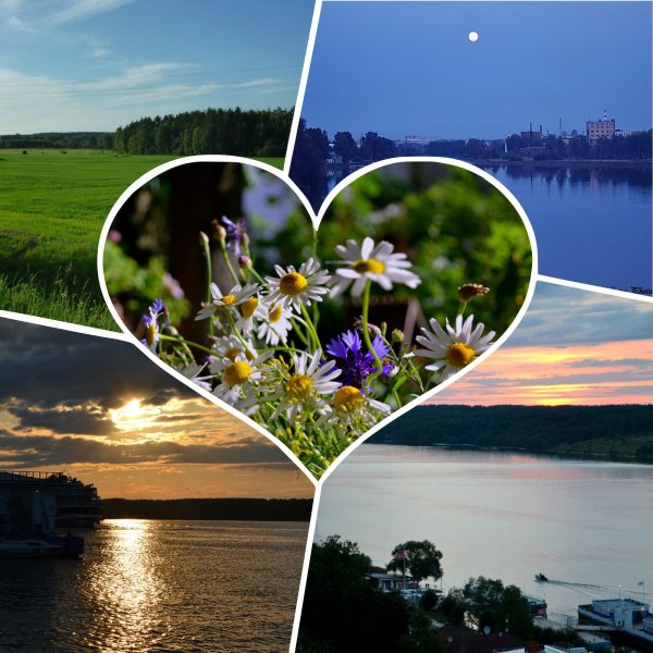 Коллаж природа